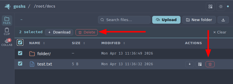 delete file